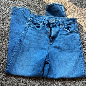 Mom Jeans American Eagle size 10